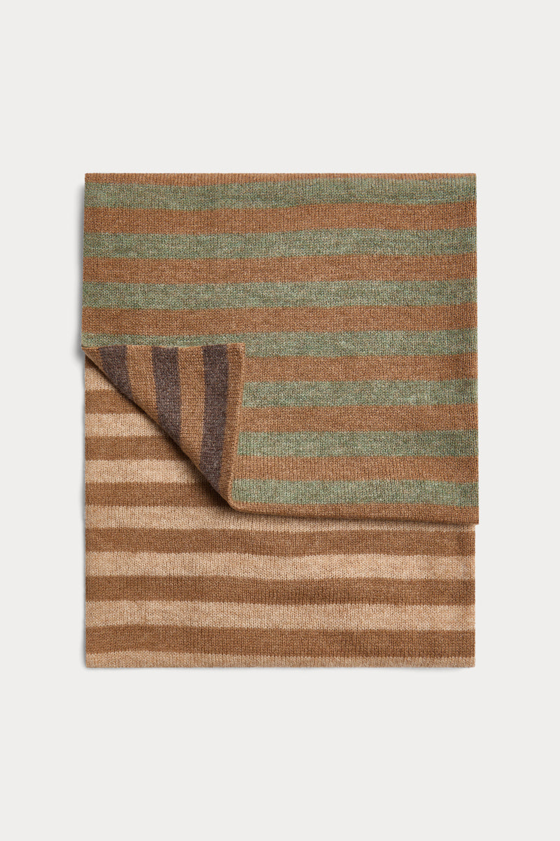 Multicolor Striped Scarf