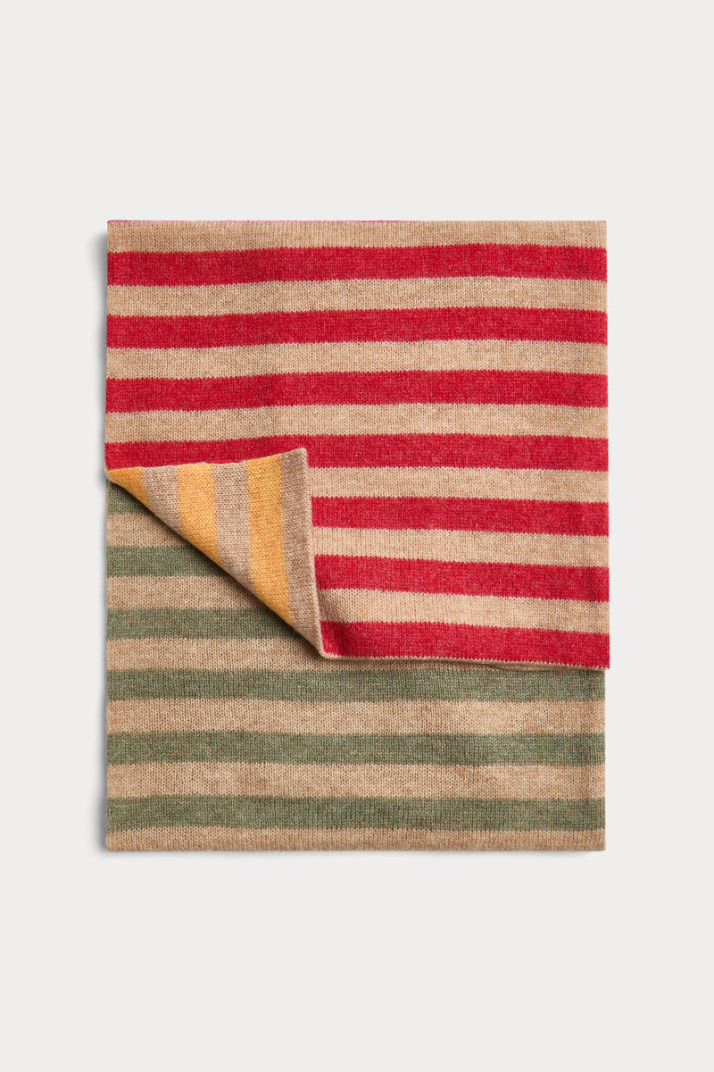 Multicolor Striped Scarf